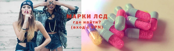 сатива Богородск