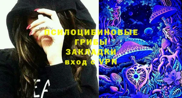 2c-b Верхний Тагил